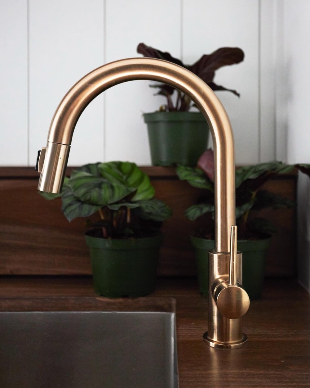 Materials close-up - brass gooseneck faucet with plants, luxury renovation and interior design by Martire Custom Homes